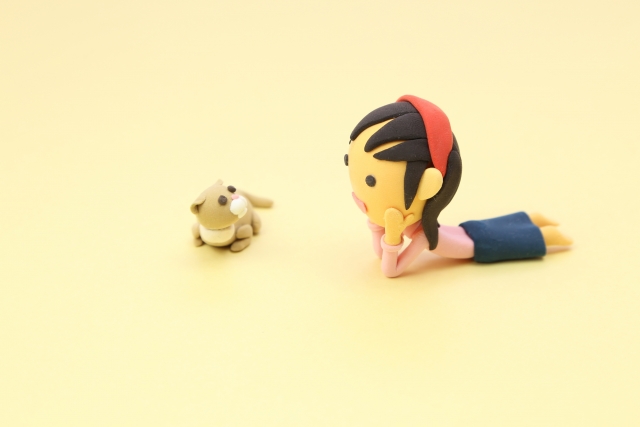 ネットで検索する猫